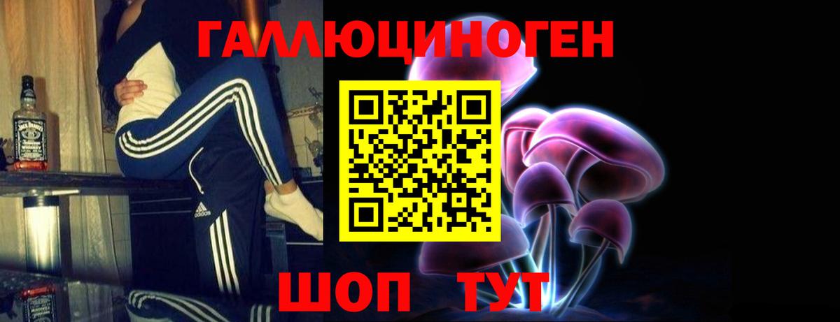 Галлюциногенные грибы Cubensis Бузулук